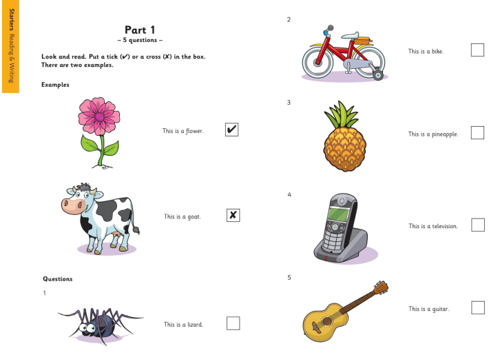 chứng chỉ Starter 4.png