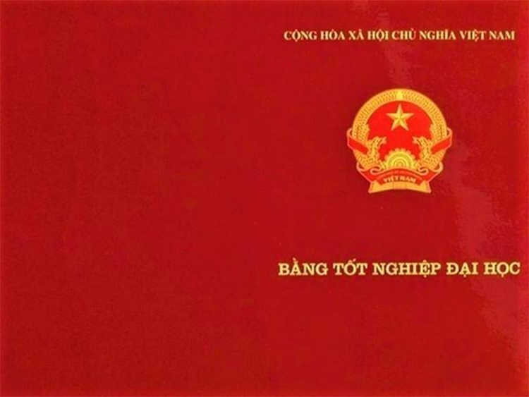 Chứng chỉ FIA là gì? (hình 6)