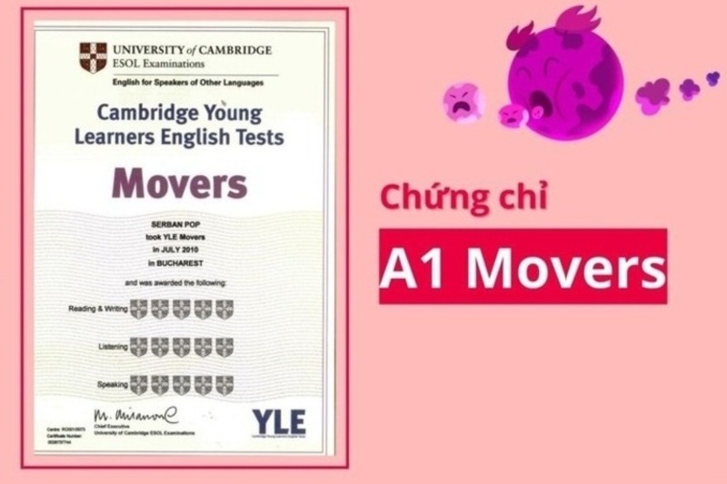Chứng chỉ Movers 6