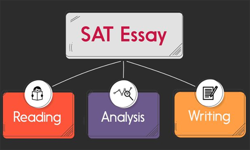 Chứng chỉ SAT là gì? (hình 6)