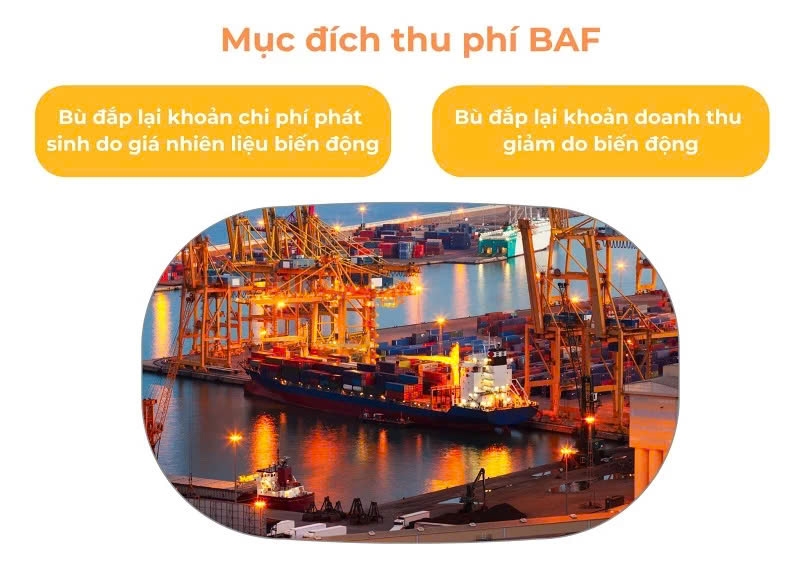 chứng nhận BAF là gì-4.jpg