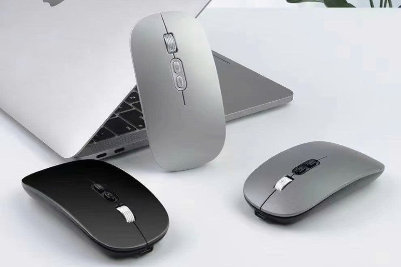 Chuột Coteci của nước nào?