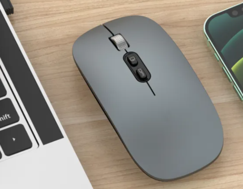 Chuột Coteci phù hợp với ai?