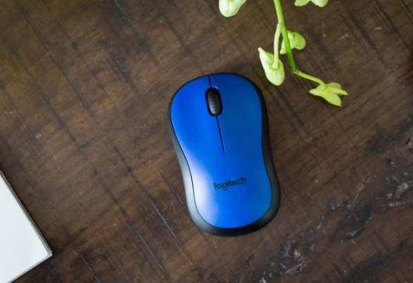 Chuột Logitech M221 bảo hành bao lâu hình 3