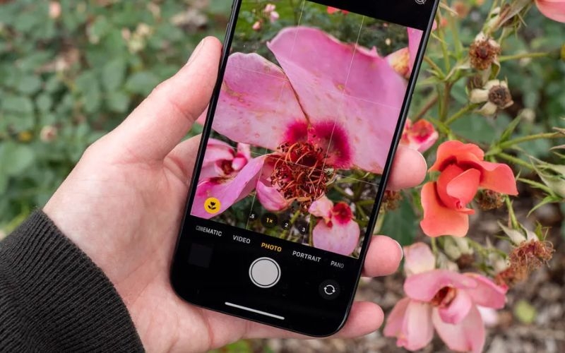 Cách chụp ảnh macro bằng điện thoại iPhone