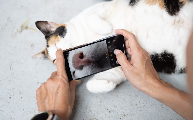 Lựa chọn ánh sáng phù hợp khi chụp ảnh macro bằng iPhone