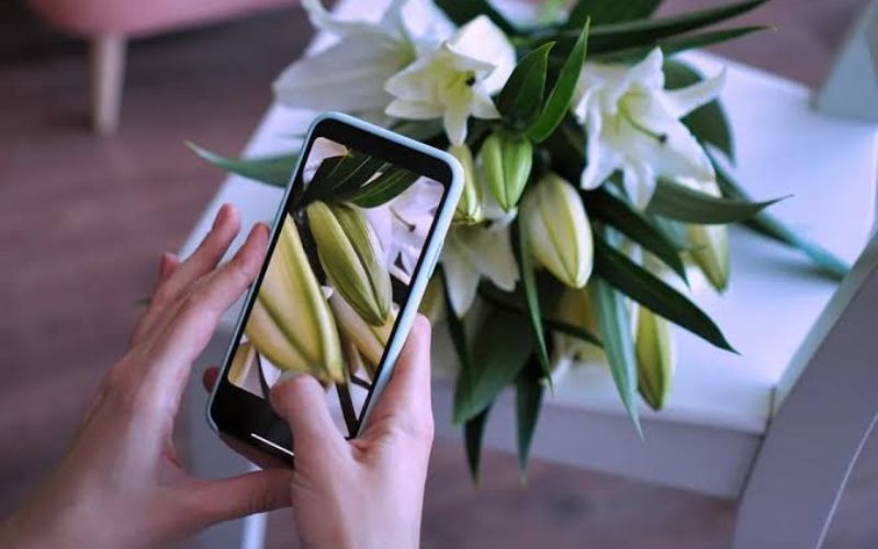 Không nên đưa iPhone quá gần chủ thể khi chụp marco