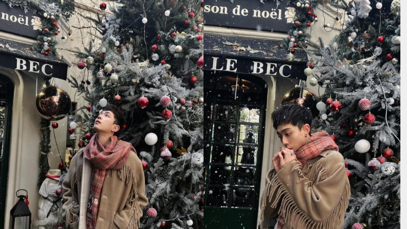 chụp ảnh với cây thông Noel (hình 6)