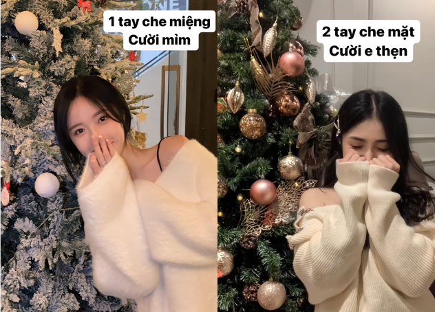 chụp ảnh với cây thông Noel (hình 9)