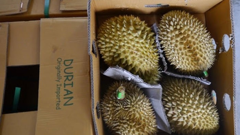 Có cho mang sầu riêng lên máy bay không - hình 3