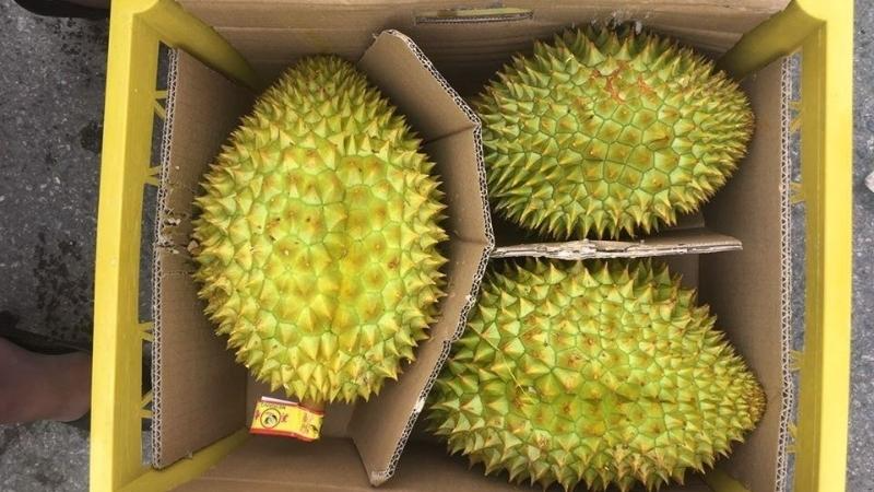 Có cho mang sầu riêng lên máy bay không - hình 5