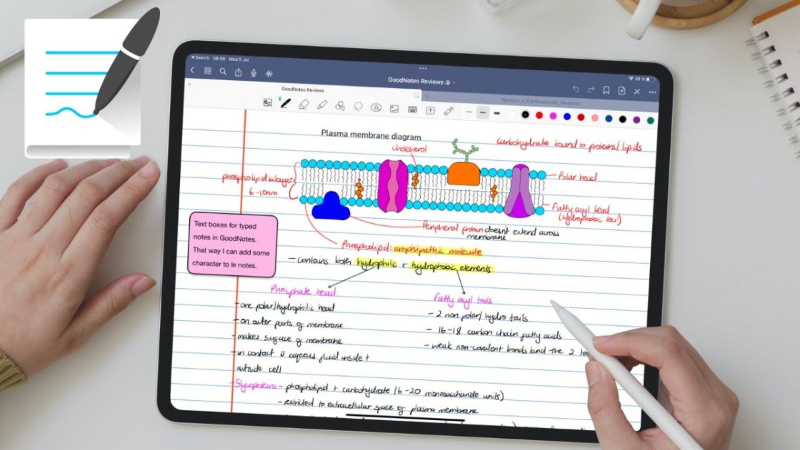 Có nên mua iPad thay cho laptop - hình 1