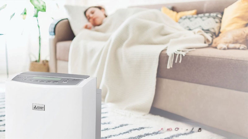 Có nên mua máy hút ẩm hình 1