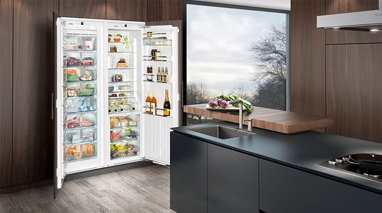 Có nên mua tủ lạnh lớn (Hình 1)