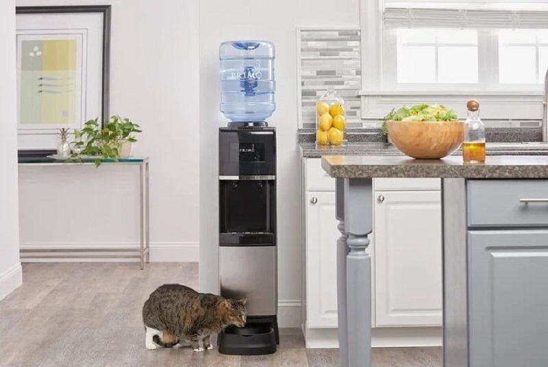 Có nên sử dụng cây nước nóng lạnh trong nhà ảnh 3