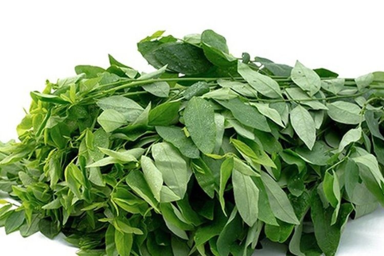 Liệu có nên vò rau ngót trước khi nấu hay không? Cùng tìm hiểu!