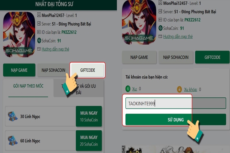 code Nhất Đại Tông Sư (hình 4)