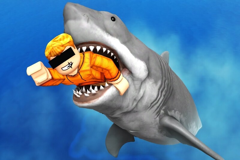 code Sharkbite 1