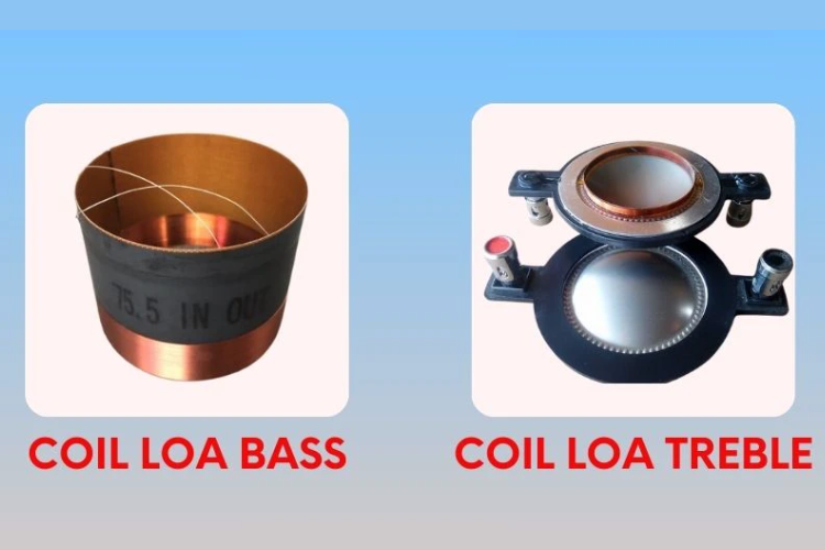 Coil loa là gì 5