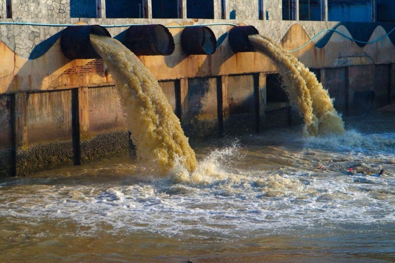 nguyen nhan xuat hien coliform trong nuoc