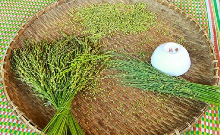 Cốm dẹp (Hình 2)