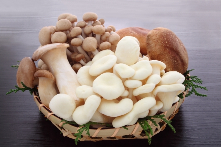 Cách chọn mua nấm tươi và nấm khô