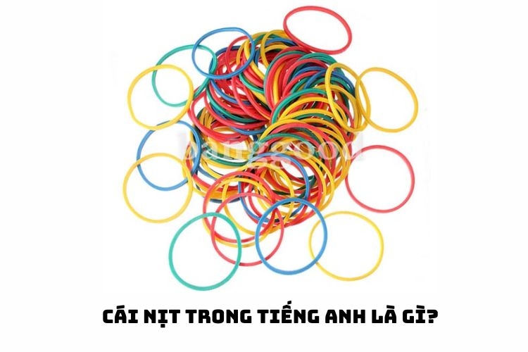 cái nịt trong tiếng anh