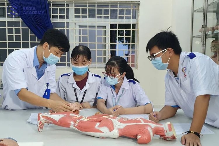 Con gái thi khối B nên chọn ngành gì?