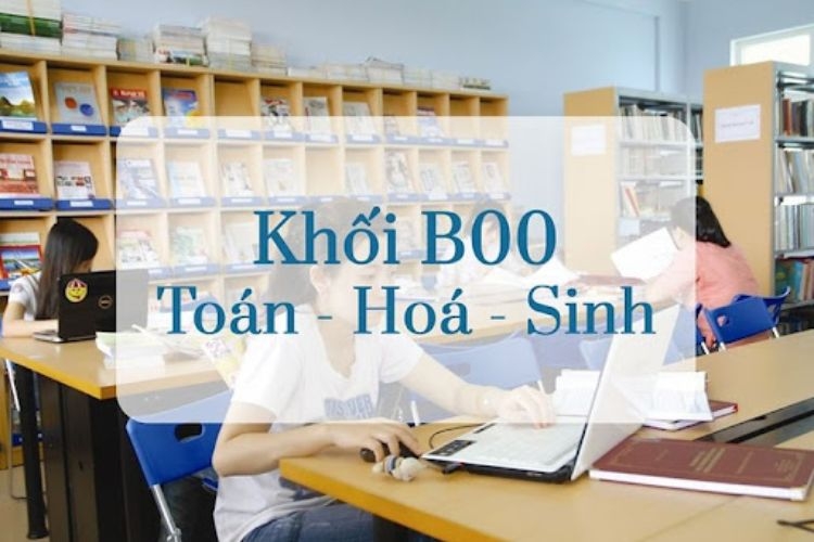 Con gái thi khối B nên chọn ngành gì?