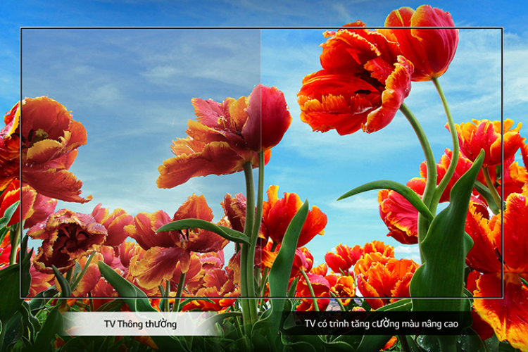 công nghệ ColorPrime Pro 4