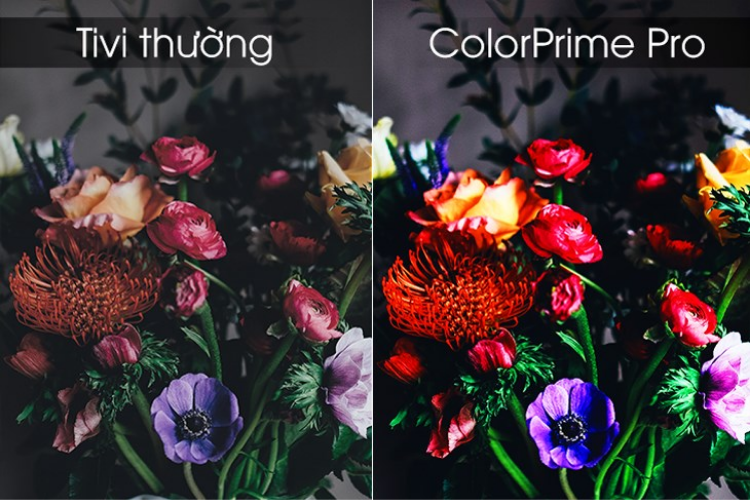 công nghệ ColorPrime Pro 3