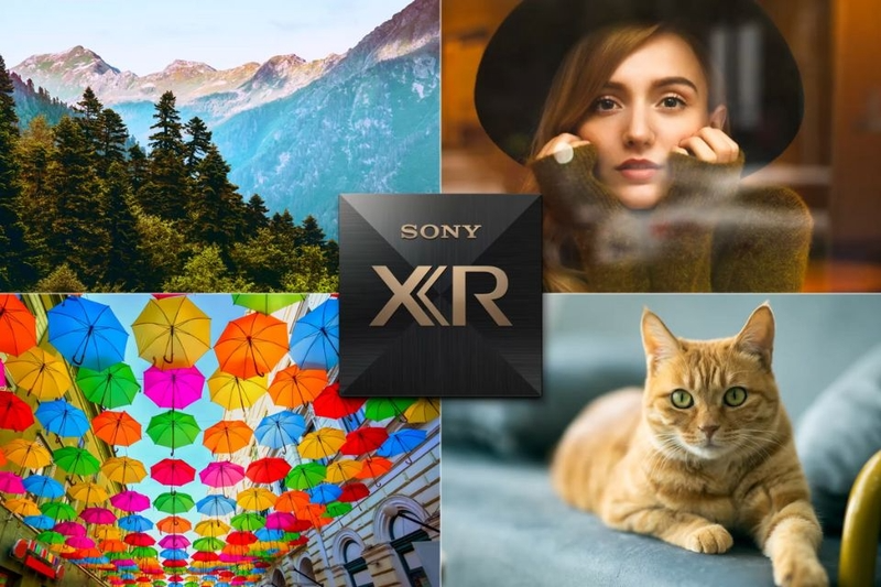 Cognitive Processor XR