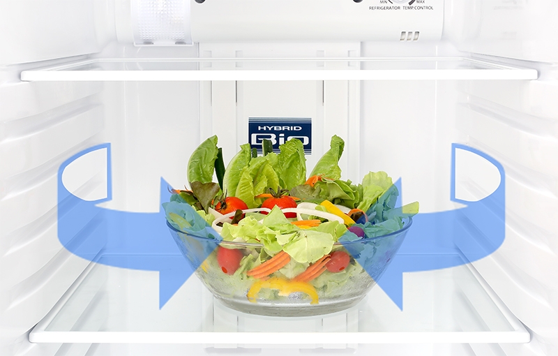 công nghệ hybrid bio hình 1