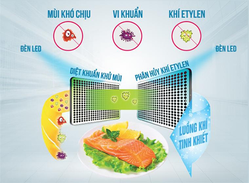 công nghệ hybrid bio hình 7
