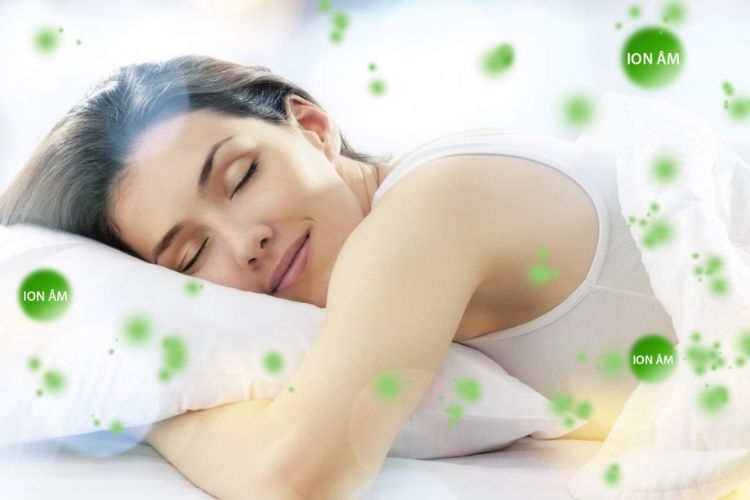 Công nghệ ion clean máy sưởi