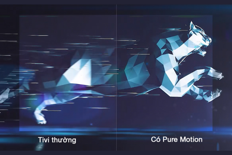 Công nghệ PureMotion 1