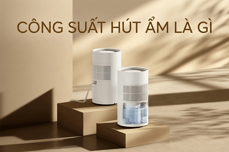 Công suất hút ẩm là gì? Tại sao đây là yếu tố quan trọng hàng đầu khi chọn mua thiết bị này?