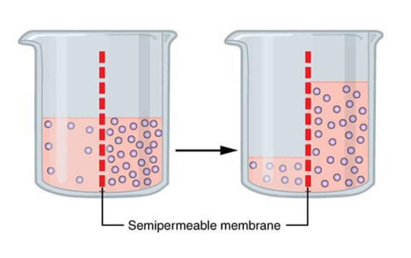 Công thức tính áp suất 4