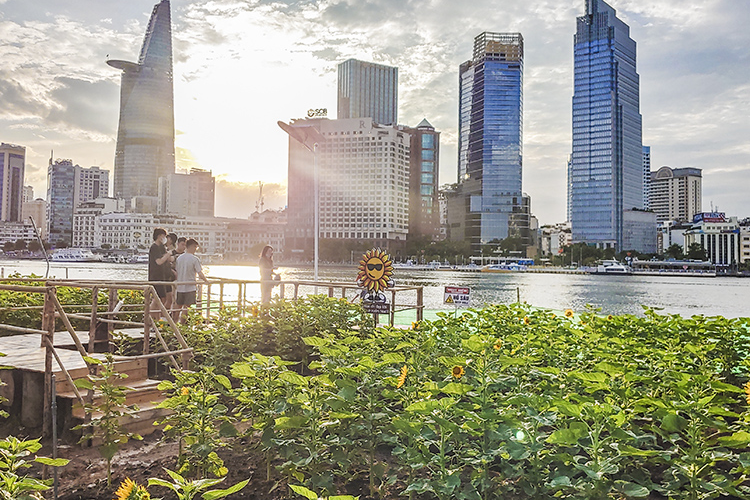 công viên bờ sông sài gòn 5