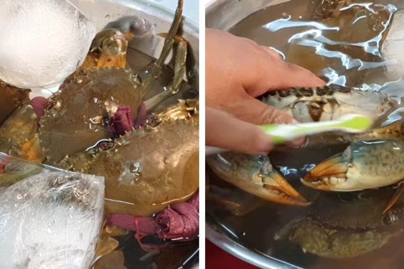 cua hấp bia 4