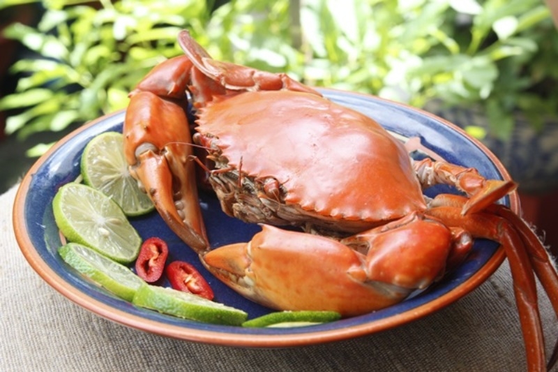 cua hấp bia 6