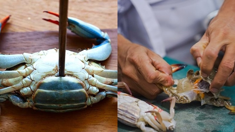 cua sốt tiêu đen 2