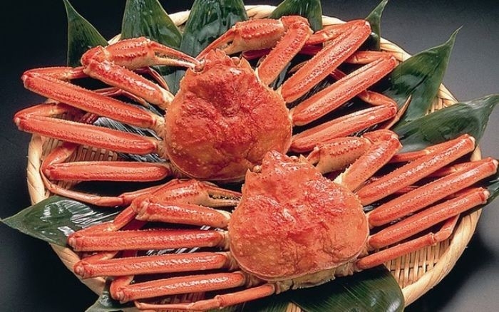 Cua tuyết 4