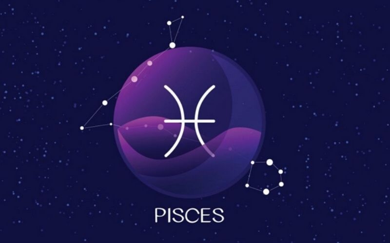 Cung Song Ngư được nhiều người yêu thích