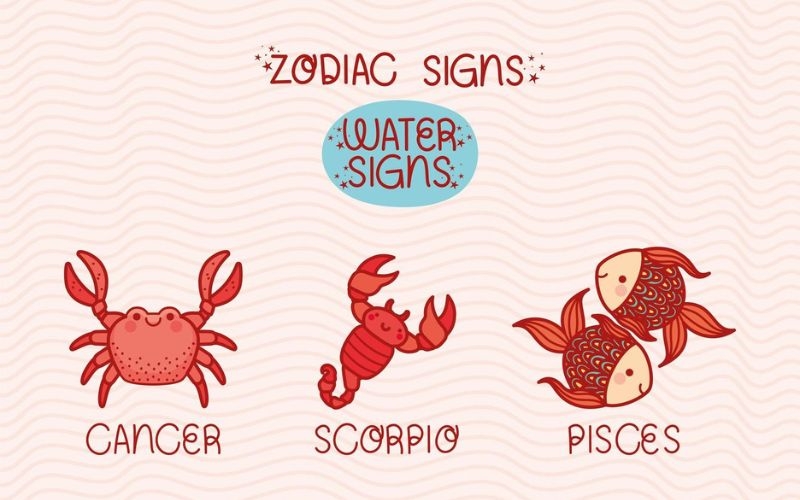 Cung Nước gồm cung nào