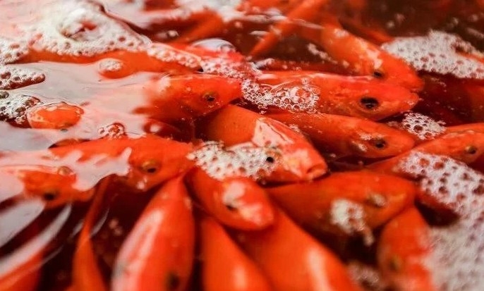 Cúng ông Công ông Táo ngày nào 2026 10