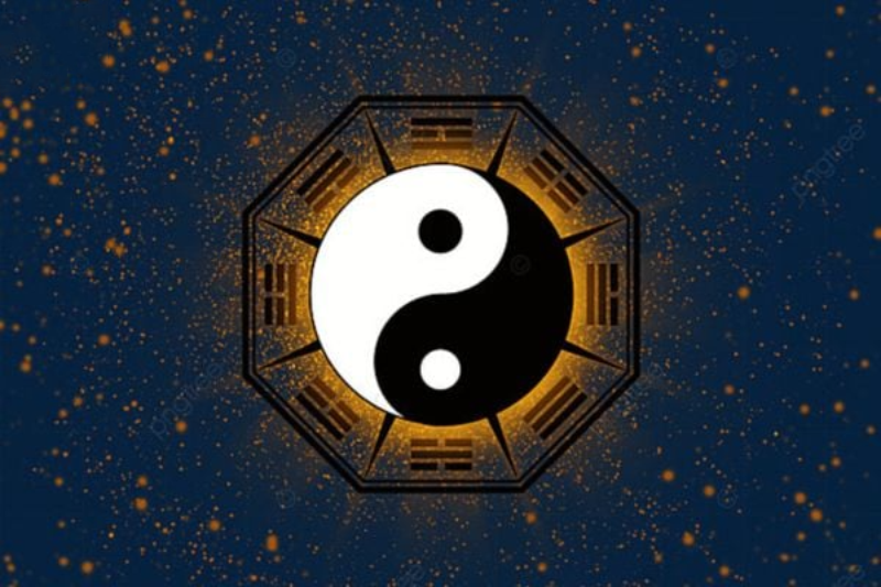 Cung Phụ Mẫu là gì? (hình 4)