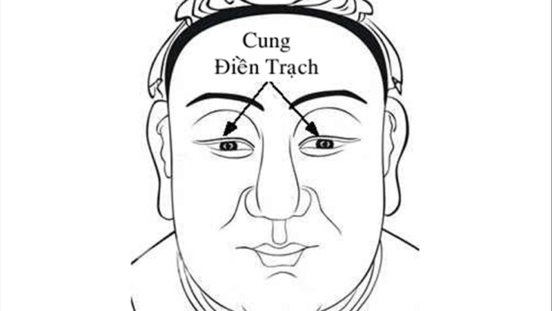 Cung Tài Bạch là gì? (hình 6)