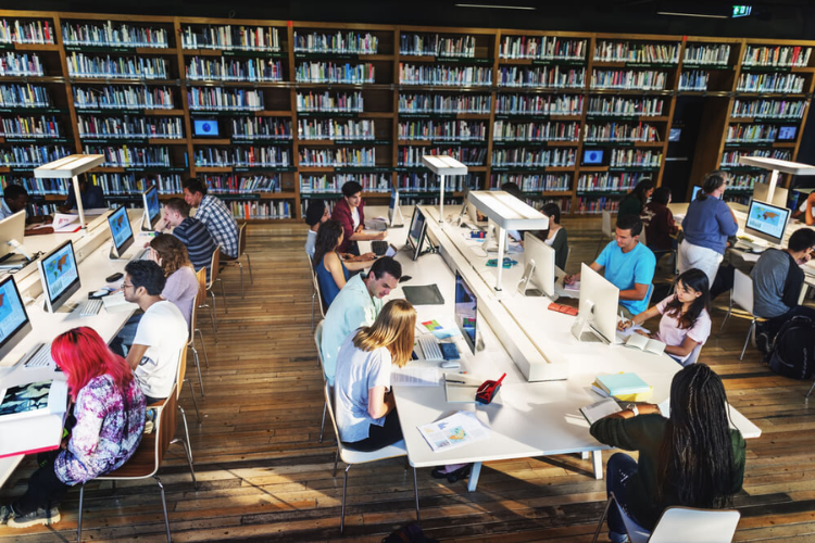 D29 gồm những môn nào? Ngành nào hình 7