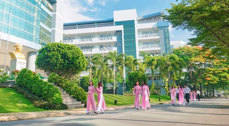 D55 gồm những môn nào? Ngành nào 4